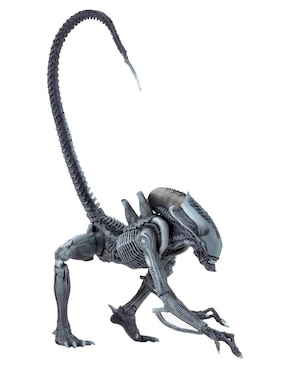 Figura Neca 7 Pulgadas Alien vs Predator Arachnoid Alien