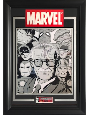 Autógrafo De Stan Lee Logos Rockers Autogrphs Cuadro Blanco Y Negro