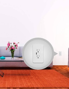 Contacto Doble Wi-Fi y Cargador USB Smart Home By Techzone