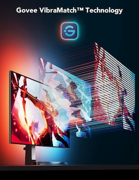 Tira led smart Govee H6609