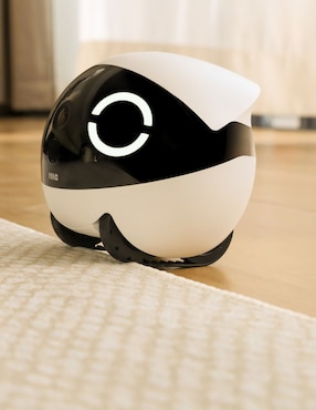 Cámara Enabot modelo ROLA MINI 3 megapíxeles