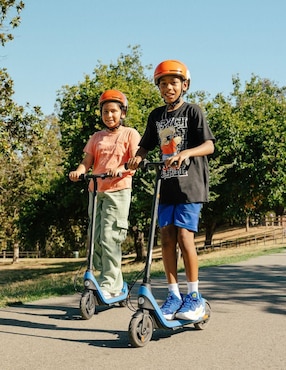 Scooter eléctrico Segway C2LITE 2024