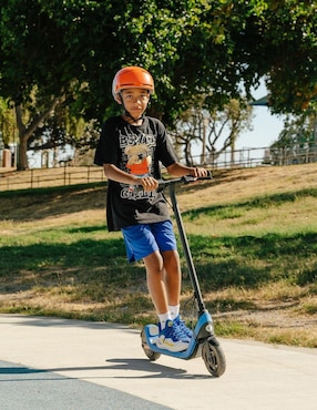 Scooter eléctrico Segway C2LITE 2024