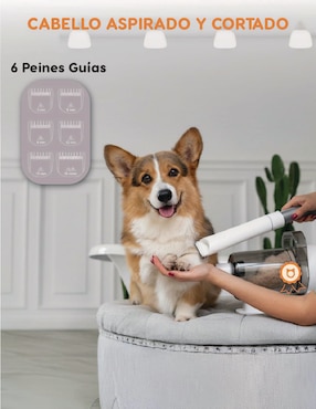 Kit de aseo y aspiradora para mascota Poli Pets de 300 W