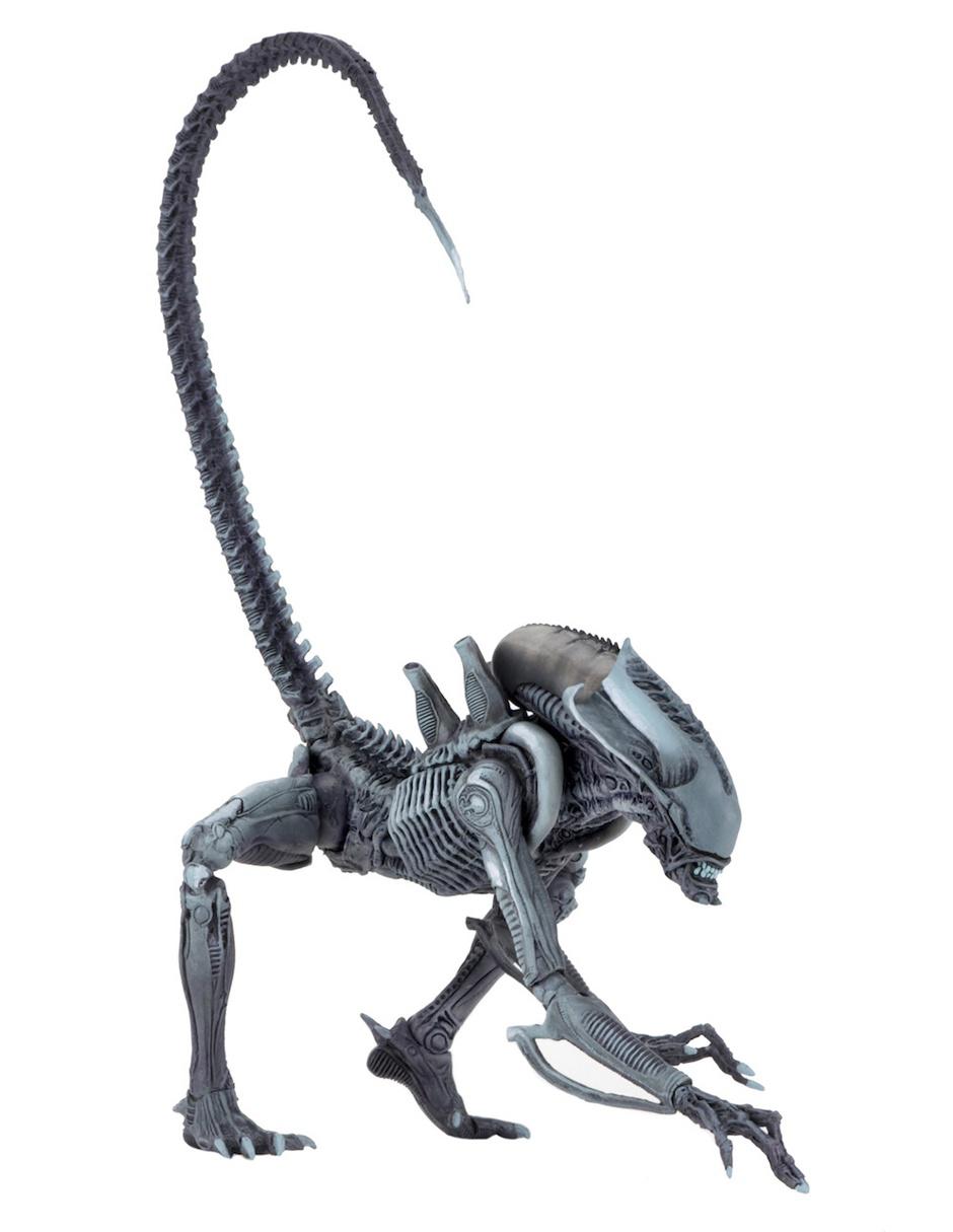 Figura 7 Pulgadas Alien vs Predator Arachnoid Alien 2