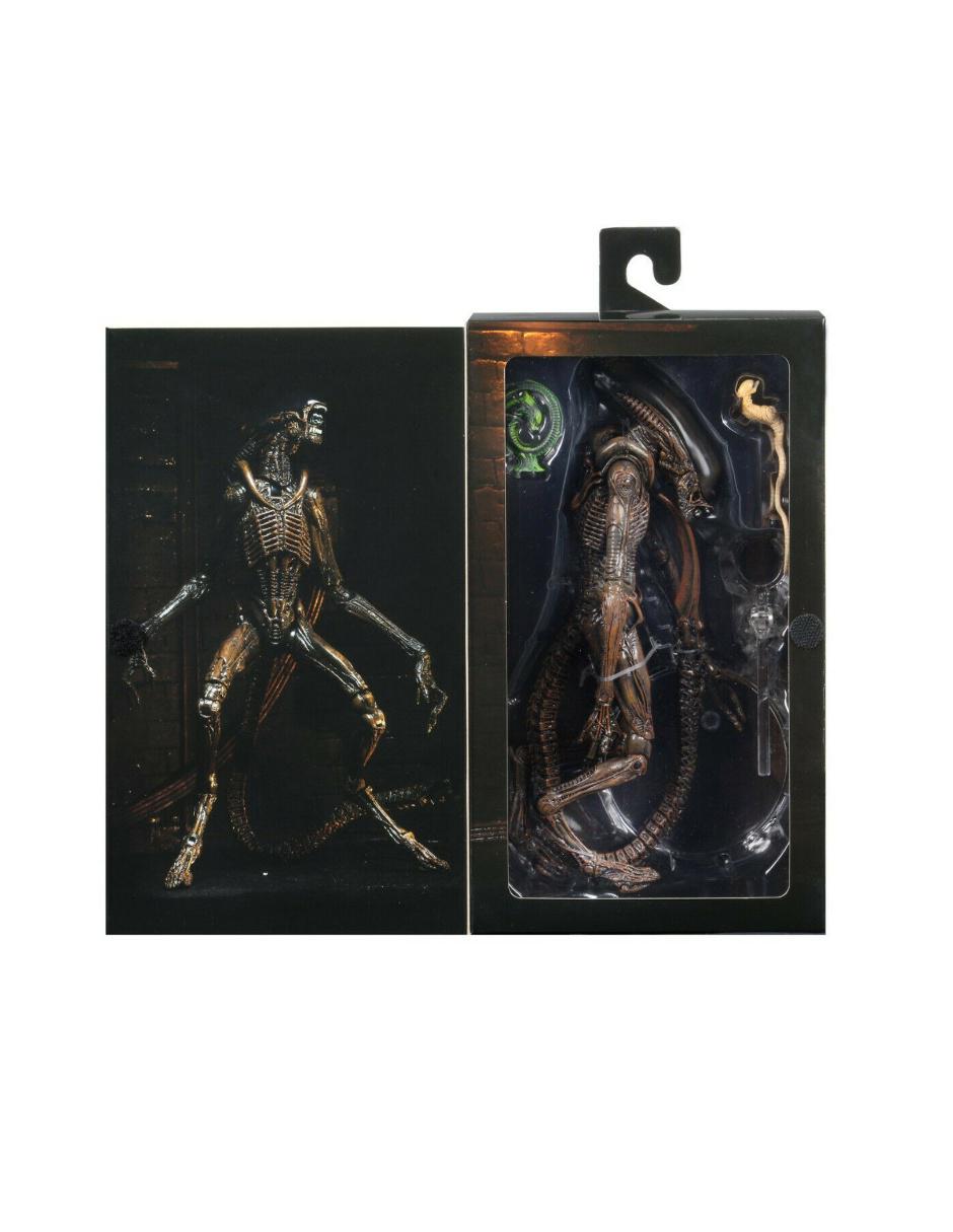 Figura collectors 2