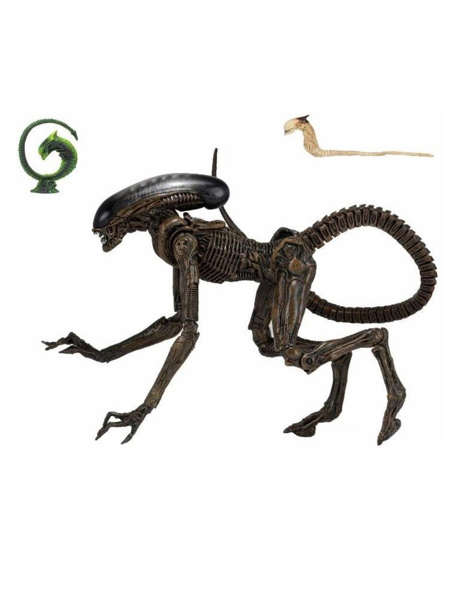 Figura collectors 4