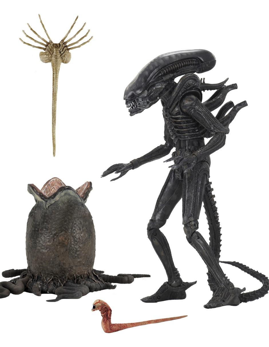 Figura collectors