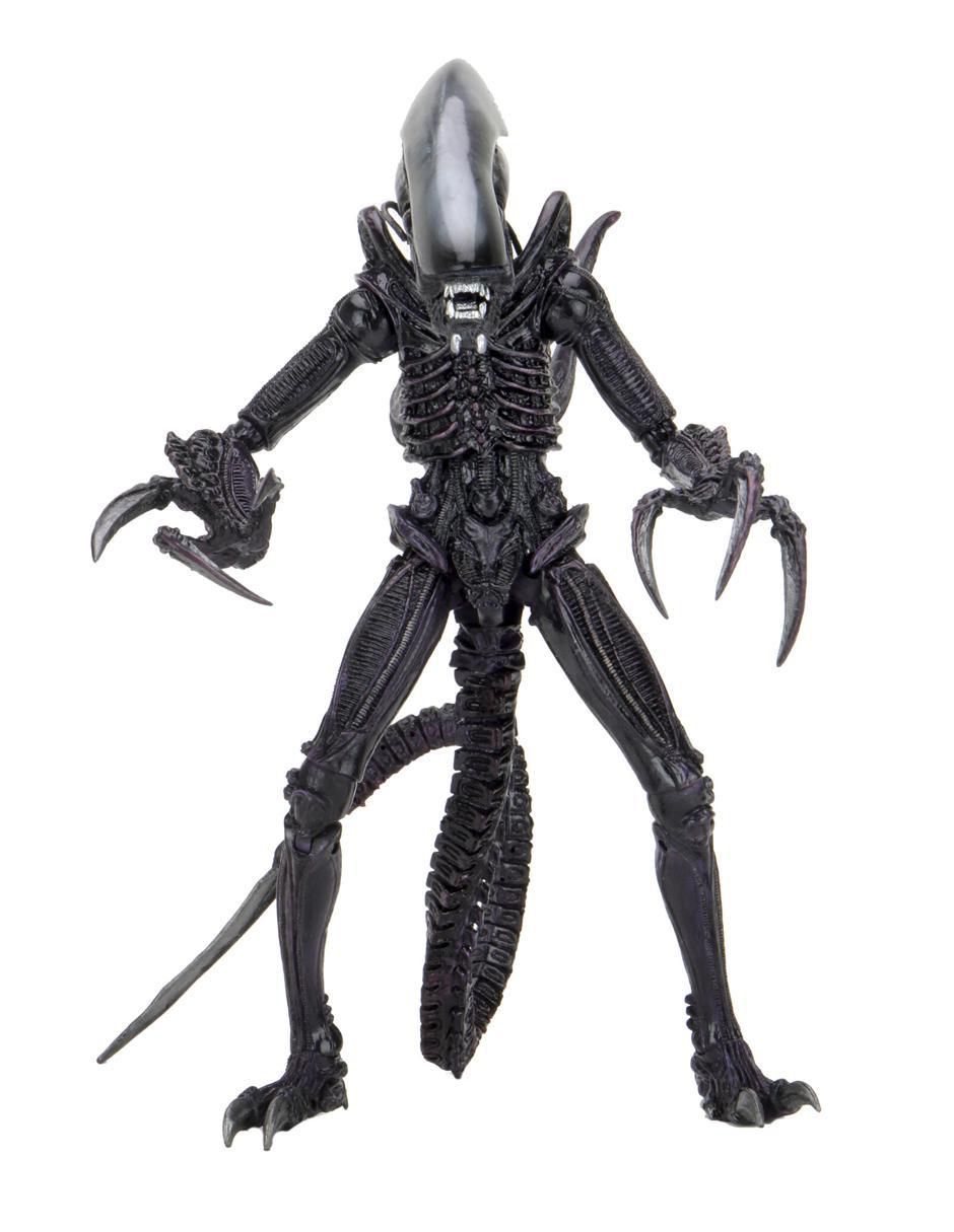 Figura collectors 2