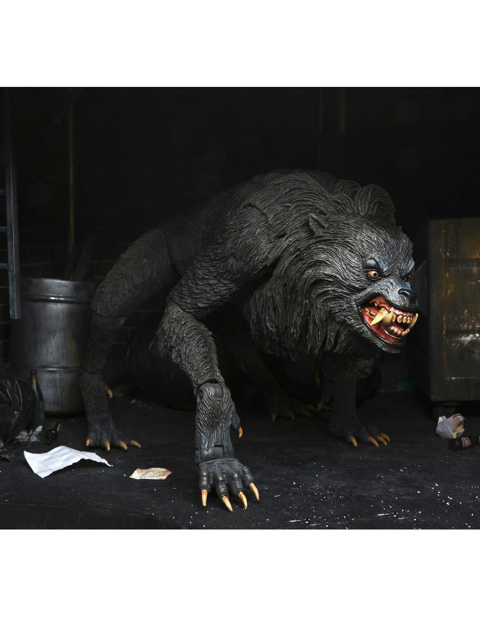 Figura 5
