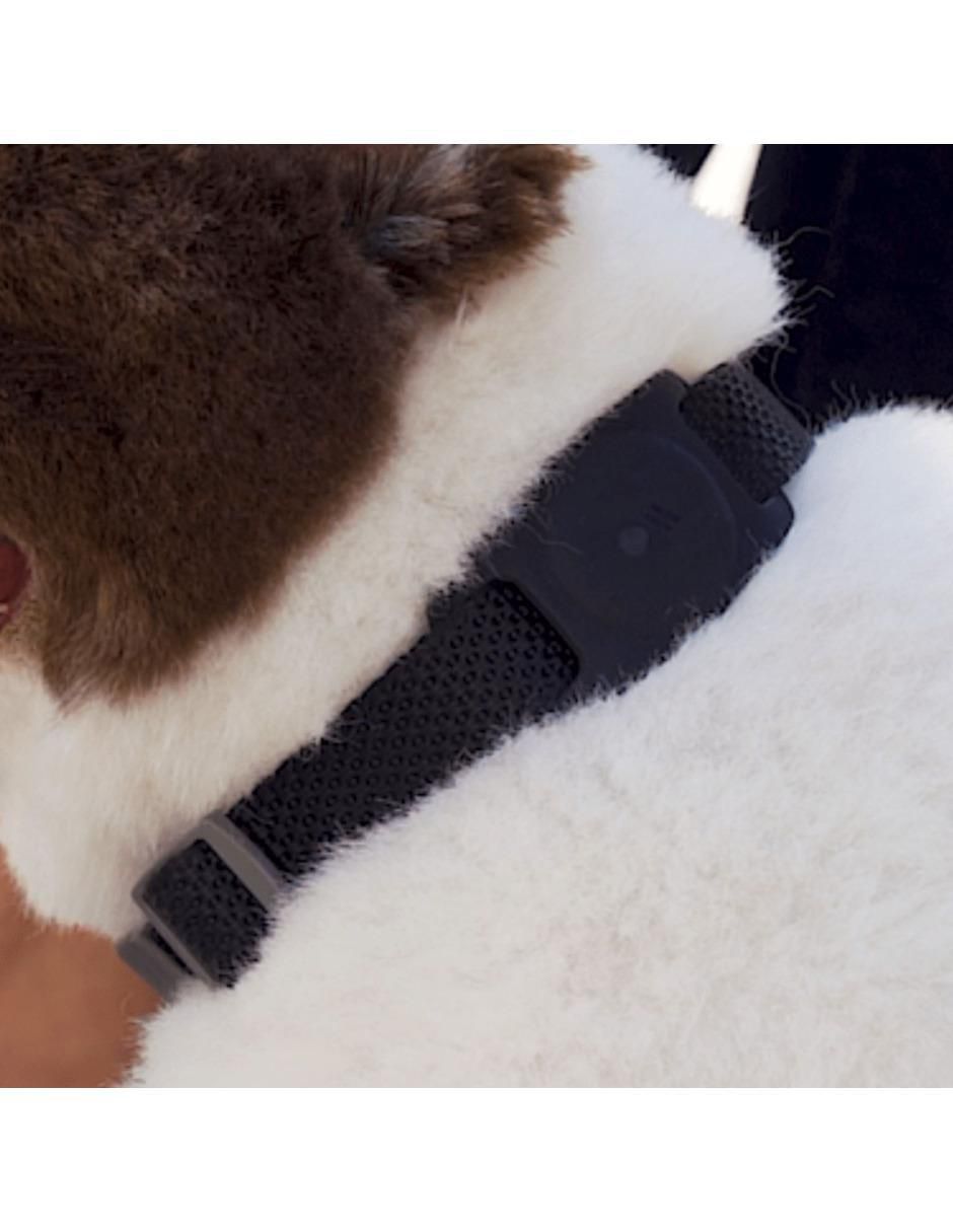 Funda protectora para collar de mascota compatible AirTag 7