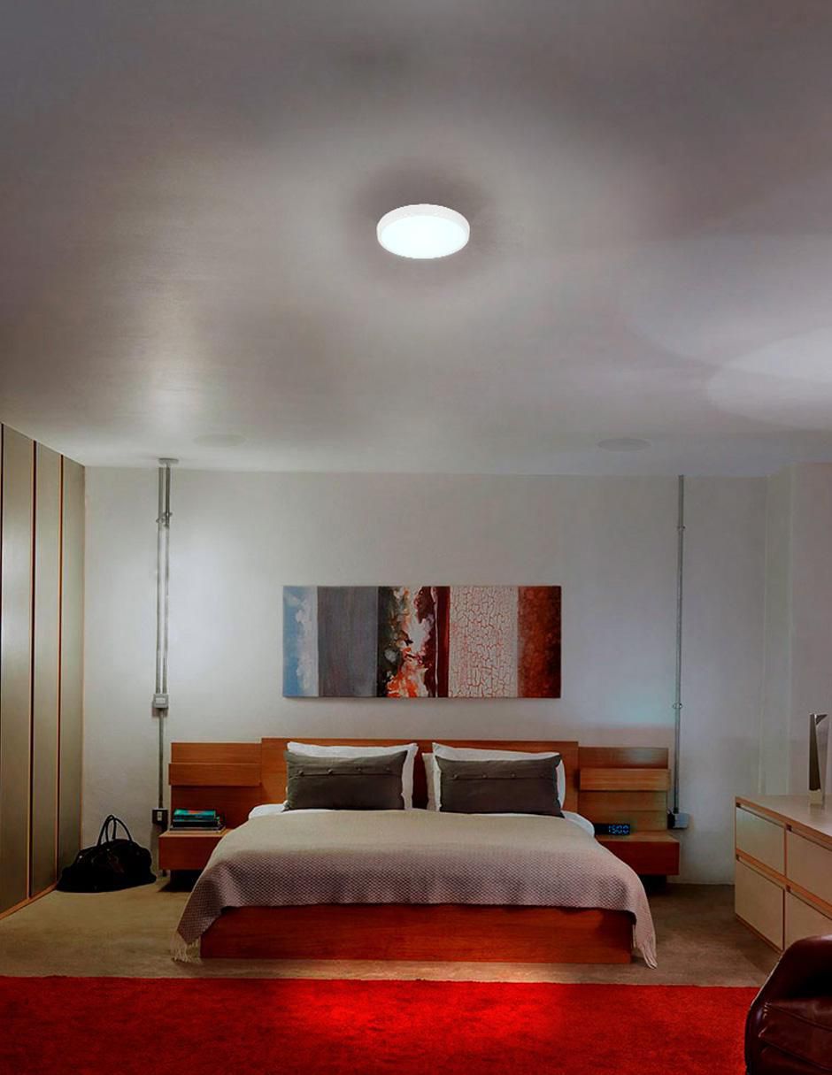 Lámpara de techo LED Anser I 3